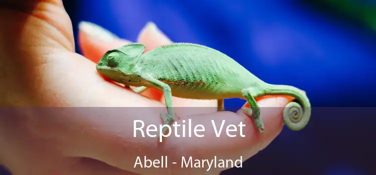 Reptile Vet Abell - Maryland