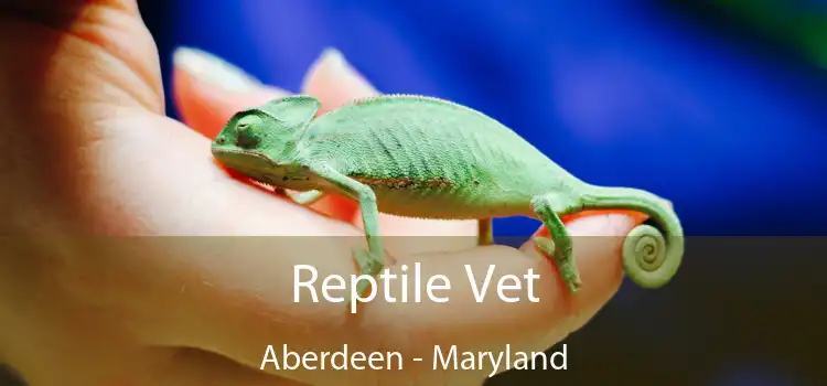 Reptile Vet Aberdeen - Maryland