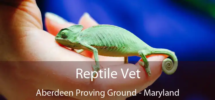 Reptile Vet Aberdeen Proving Ground - Maryland