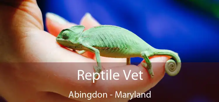 Reptile Vet Abingdon - Maryland