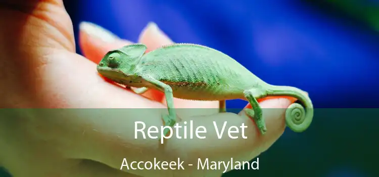 Reptile Vet Accokeek - Maryland