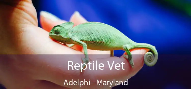 Reptile Vet Adelphi - Maryland