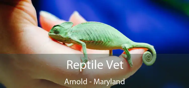 Reptile Vet Arnold - Maryland