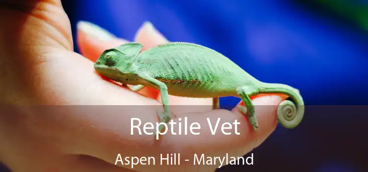 Reptile Vet Aspen Hill - Maryland