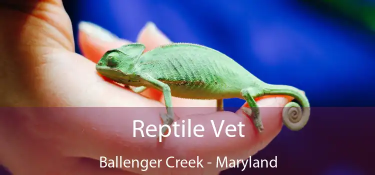 Reptile Vet Ballenger Creek - Maryland