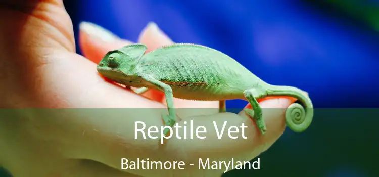 Reptile Vet Baltimore - Maryland