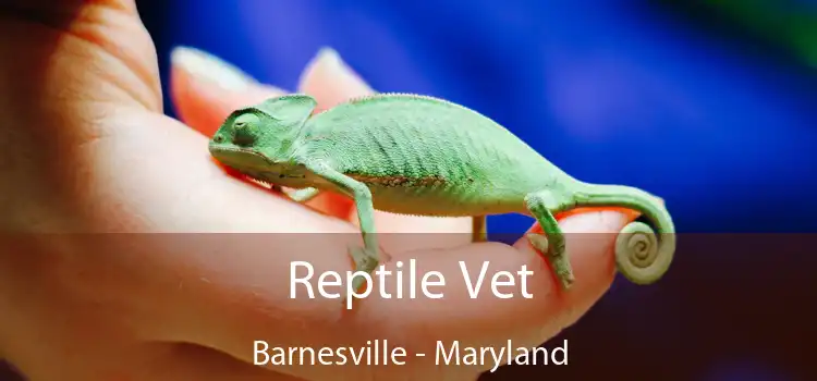 Reptile Vet Barnesville - Maryland