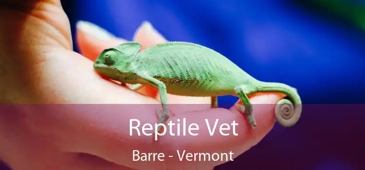 Reptile Vet Barre - Vermont