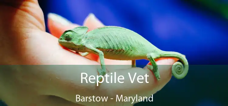 Reptile Vet Barstow - Maryland