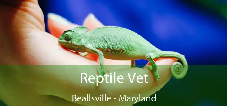 Reptile Vet Beallsville - Maryland