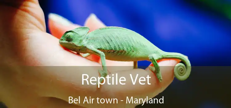 Reptile Vet Bel Air town - Maryland