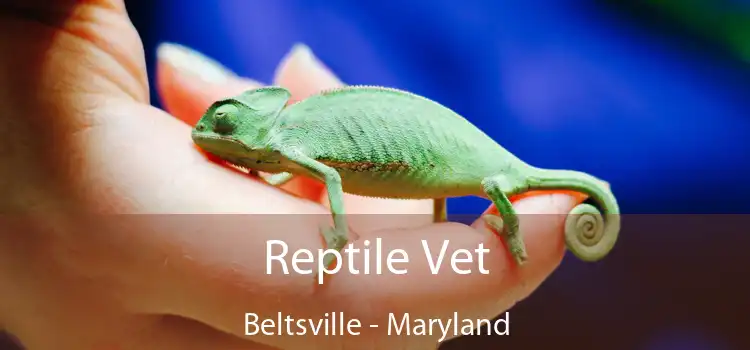 Reptile Vet Beltsville - Maryland