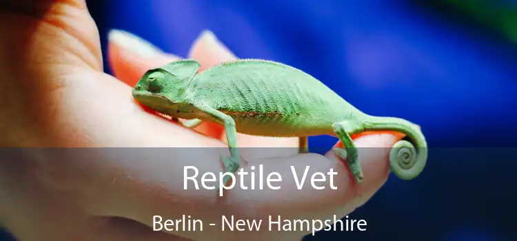 Reptile Vet Berlin - New Hampshire