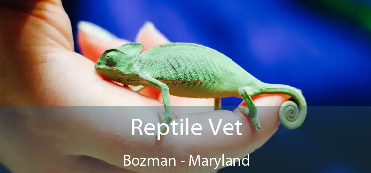 Reptile Vet Bozman - Maryland