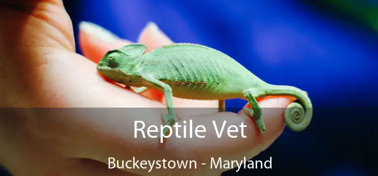 Reptile Vet Buckeystown - Maryland