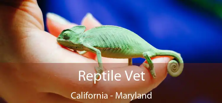 Reptile Vet California - Maryland