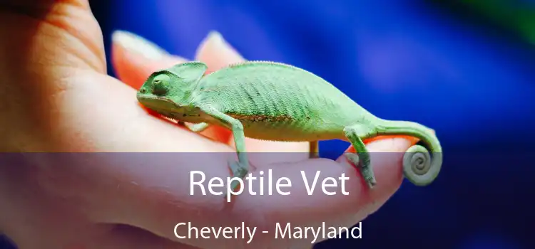 Reptile Vet Cheverly - Maryland