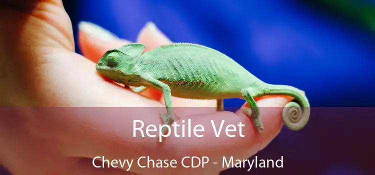 Reptile Vet Chevy Chase CDP - Maryland