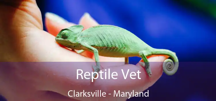 Reptile Vet Clarksville - Maryland