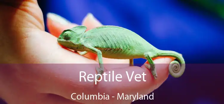 Reptile Vet Columbia - Maryland