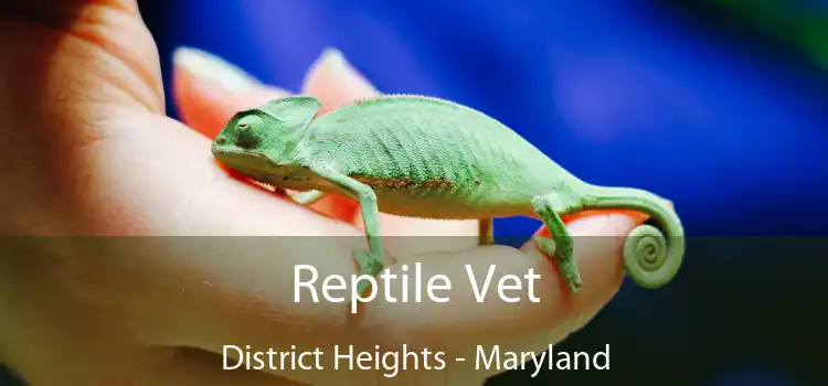 Reptile Vet District Heights - Maryland