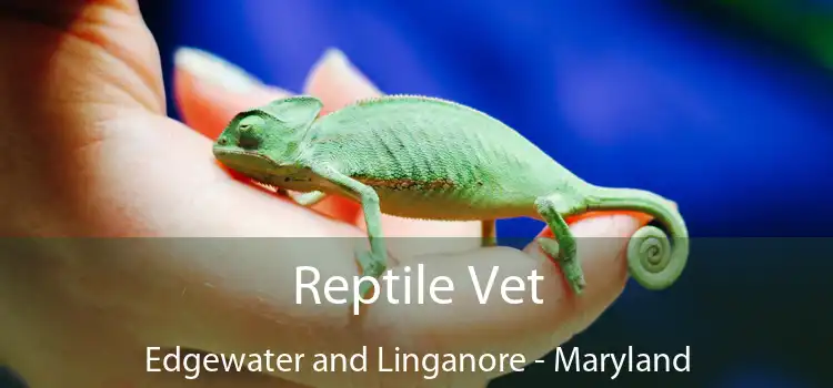 Reptile Vet Edgewater and Linganore - Maryland