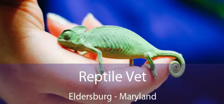 Reptile Vet Eldersburg - Maryland