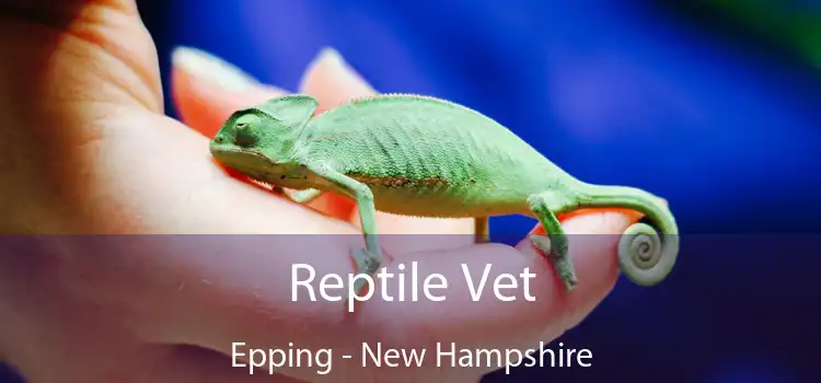 Reptile Vet Epping - New Hampshire