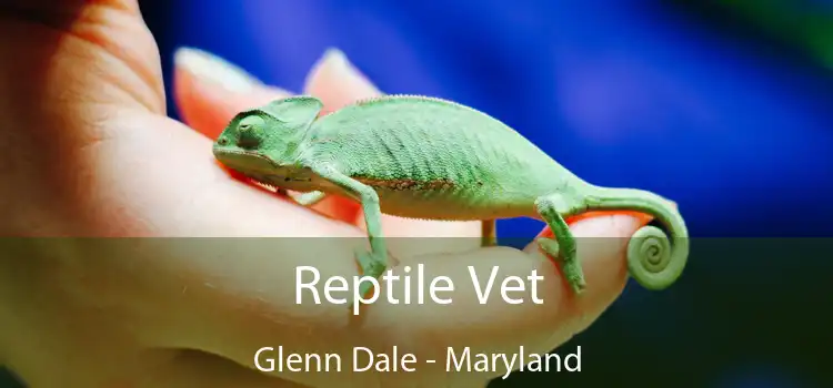 Reptile Vet Glenn Dale - Maryland