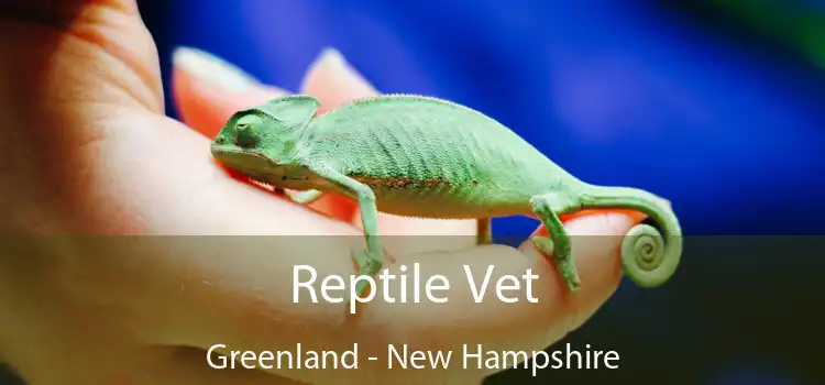 Reptile Vet Greenland - New Hampshire