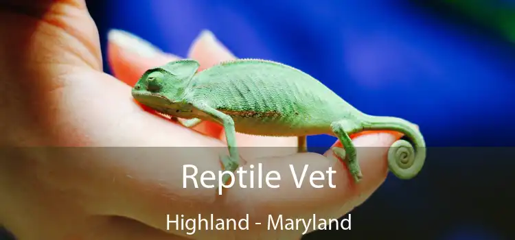 Reptile Vet Highland - Maryland