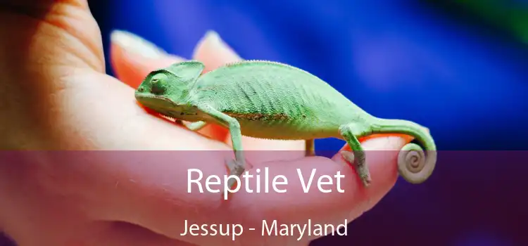 Reptile Vet Jessup - Maryland