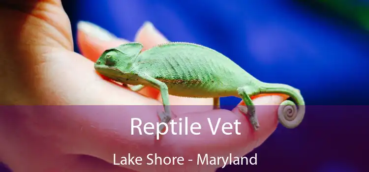 Reptile Vet Lake Shore - Maryland