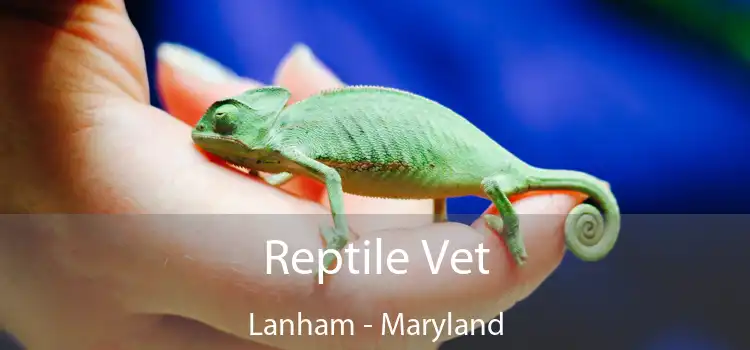 Reptile Vet Lanham - Maryland