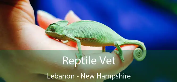 Reptile Vet Lebanon - New Hampshire