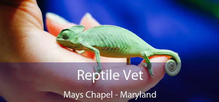 Reptile Vet Mays Chapel - Maryland