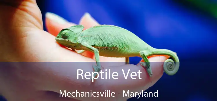 Reptile Vet Mechanicsville - Maryland