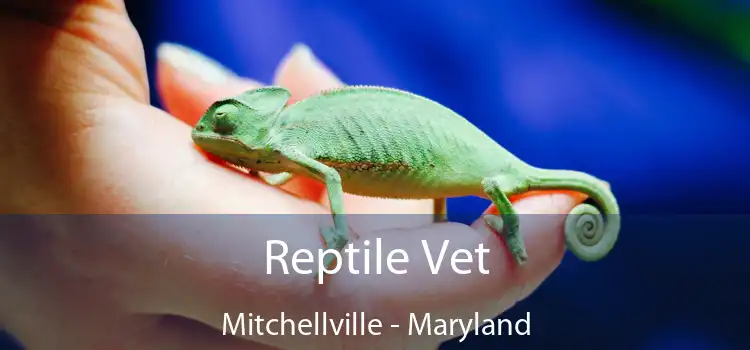 Reptile Vet Mitchellville - Maryland