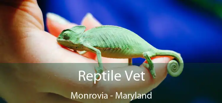 Reptile Vet Monrovia - Maryland