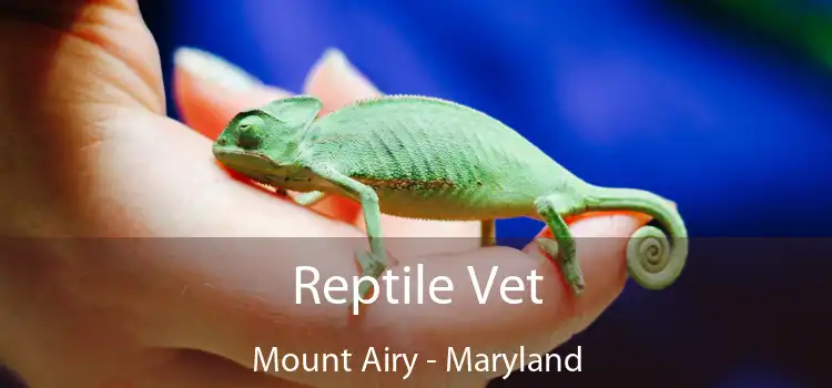 Reptile Vet Mount Airy - Maryland