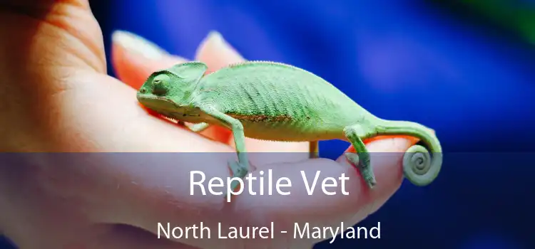 Reptile Vet North Laurel - Maryland