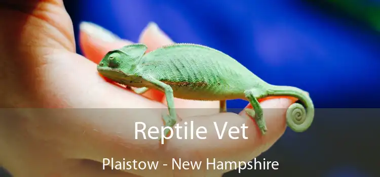 Reptile Vet Plaistow - New Hampshire