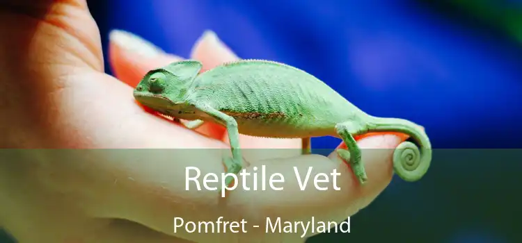 Reptile Vet Pomfret - Maryland