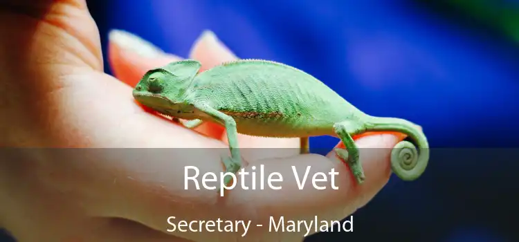 Reptile Vet Secretary - Maryland