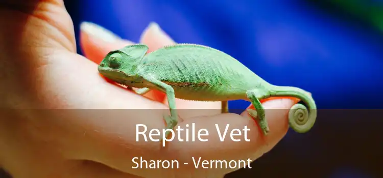 Reptile Vet Sharon - Vermont