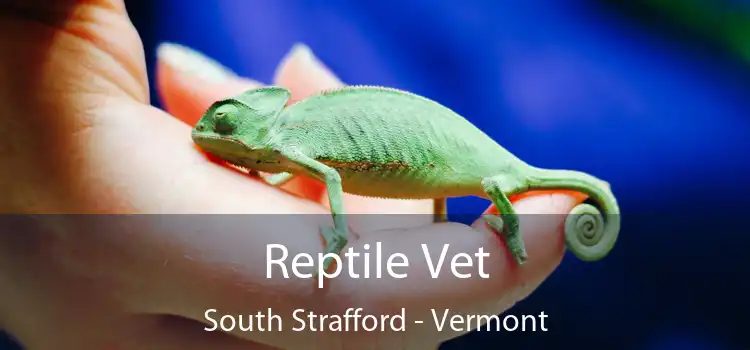 Reptile Vet South Strafford - Vermont