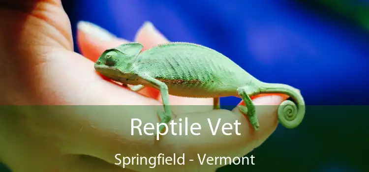 Reptile Vet Springfield - Vermont