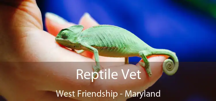 Reptile Vet West Friendship - Maryland