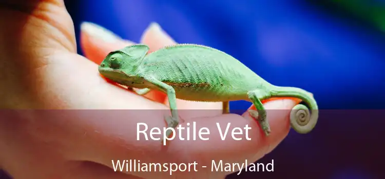 Reptile Vet Williamsport - Maryland