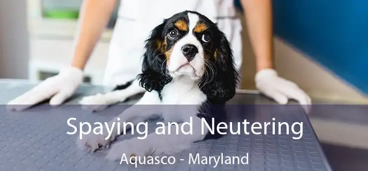 Spaying and Neutering Aquasco - Maryland